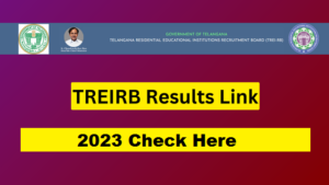 TREIRB Results